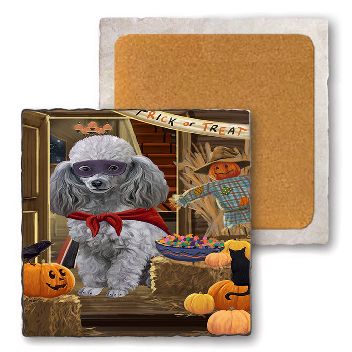 Enter at Own Risk Trick or Treat Halloween Poodle Dog Set of 4 Natural Stone Marble Tile Coasters MCST48225
