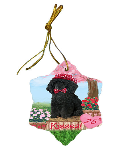 Rosie 25 Cent Kisses Poodle Dog Star Porcelain Ornament SPOR56349