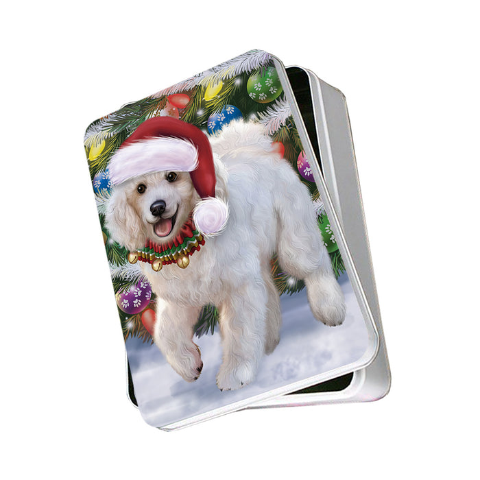 Trotting in the Snow Poodle Dog Photo Storage Tin PITN55398