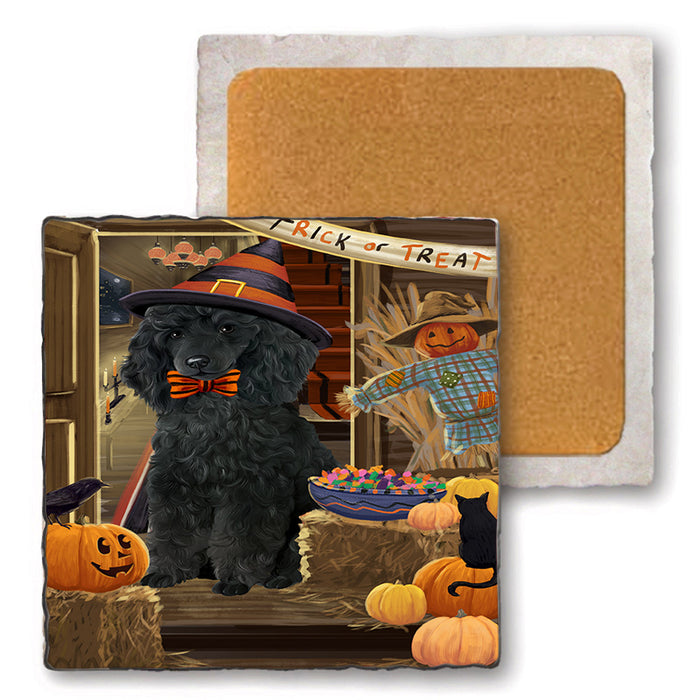 Enter at Own Risk Trick or Treat Halloween Poodle Dog Set of 4 Natural Stone Marble Tile Coasters MCST48228