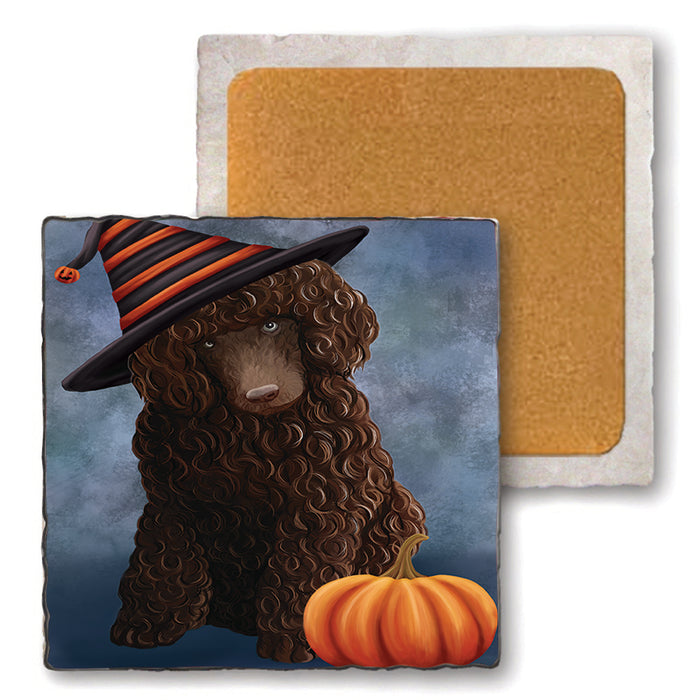 Happy Halloween Poodle Dog Wearing Witch Hat with Pumpkin Set of 4 Natural Stone Marble Tile Coasters MCST49771