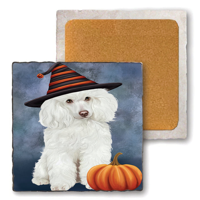 Happy Halloween Poodle Dog Wearing Witch Hat with Pumpkin Set of 4 Natural Stone Marble Tile Coasters MCST49773