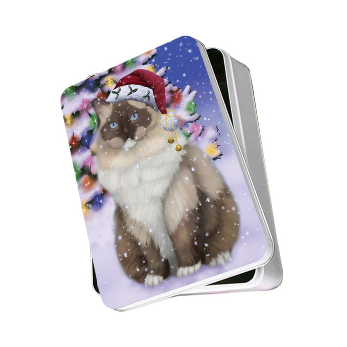 Winterland Wonderland Ragdoll Cat In Christmas Holiday Scenic Background Photo Storage Tin PITN55658