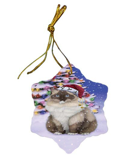 Winterland Wonderland Ragdoll Cat In Christmas Holiday Scenic Background Star Porcelain Ornament SPOR56071
