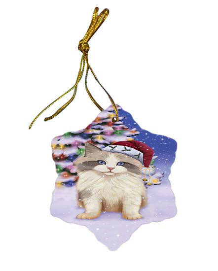 Winterland Wonderland Ragdoll Cat In Christmas Holiday Scenic Background Star Porcelain Ornament SPOR56072