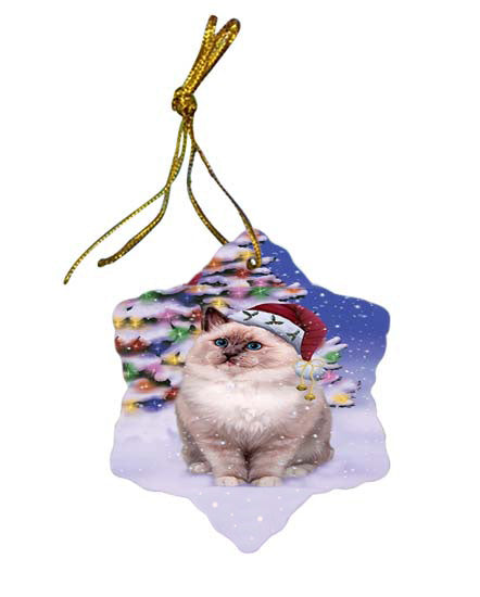 Winterland Wonderland Ragdoll Cat In Christmas Holiday Scenic Background Star Porcelain Ornament SPOR56073