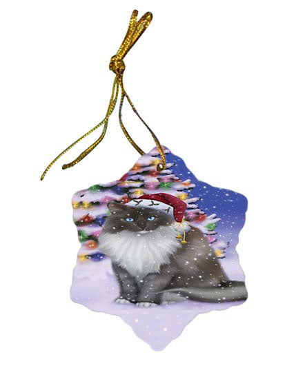 Winterland Wonderland Ragdoll Cat In Christmas Holiday Scenic Background Star Porcelain Ornament SPOR56074