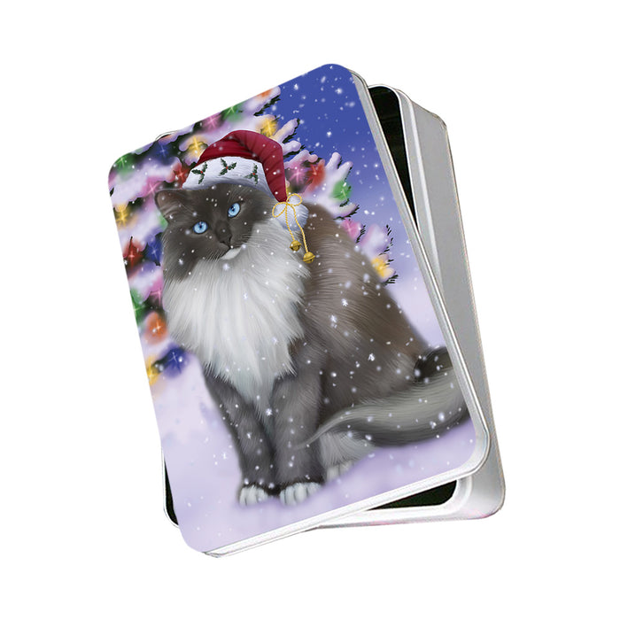 Winterland Wonderland Ragdoll Cat In Christmas Holiday Scenic Background Photo Storage Tin PITN55661