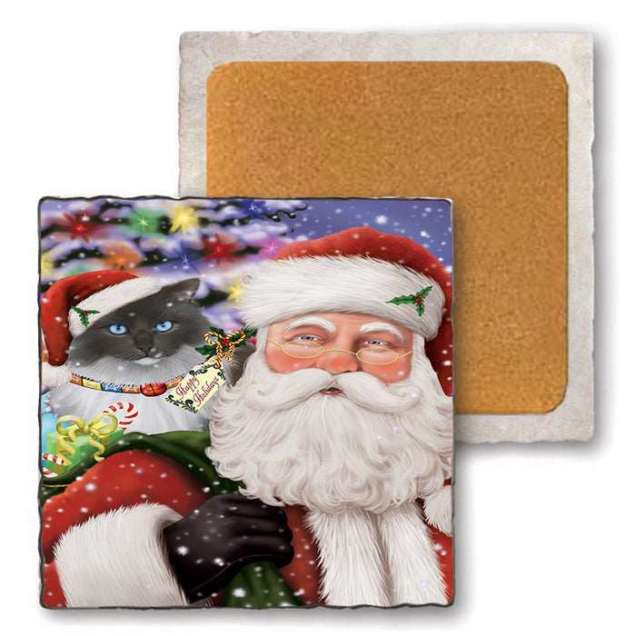 Santa Carrying Ragdoll Cat and Christmas Presents Set of 4 Natural Stone Marble Tile Coasters MCST50521