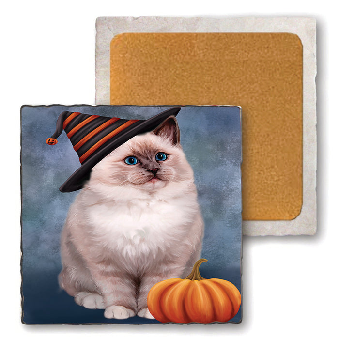 Happy Halloween Ragdoll Cat Wearing Witch Hat with Pumpkin Set of 4 Natural Stone Marble Tile Coasters MCST49793