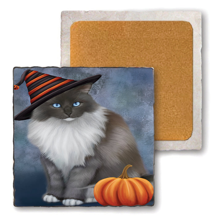 Happy Halloween Ragdoll Cat Wearing Witch Hat with Pumpkin Set of 4 Natural Stone Marble Tile Coasters MCST49794