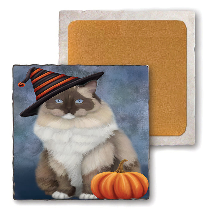 Happy Halloween Ragdoll Cat Wearing Witch Hat with Pumpkin Set of 4 Natural Stone Marble Tile Coasters MCST49795