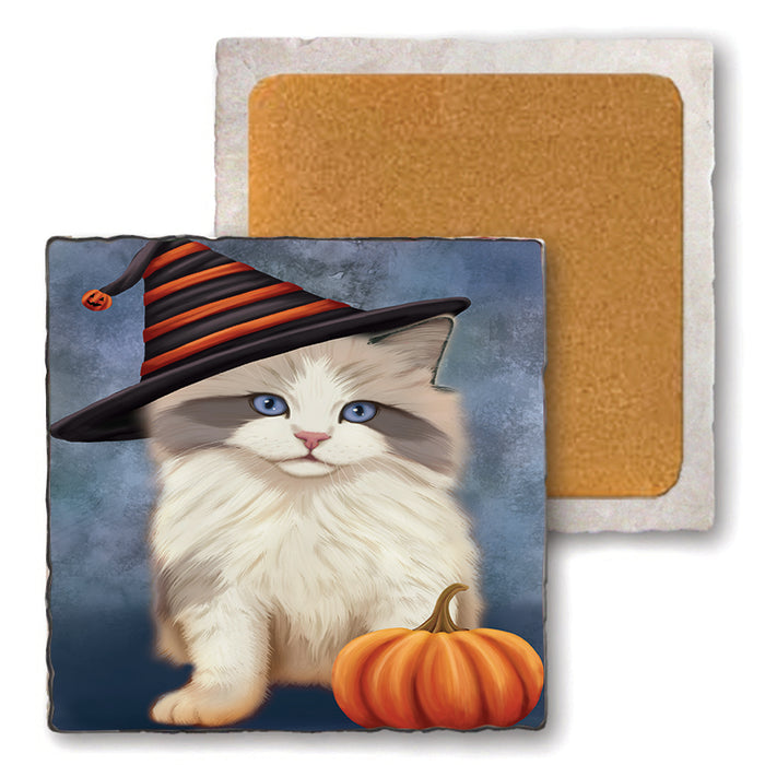 Happy Halloween Ragdoll Cat Wearing Witch Hat with Pumpkin Set of 4 Natural Stone Marble Tile Coasters MCST49796