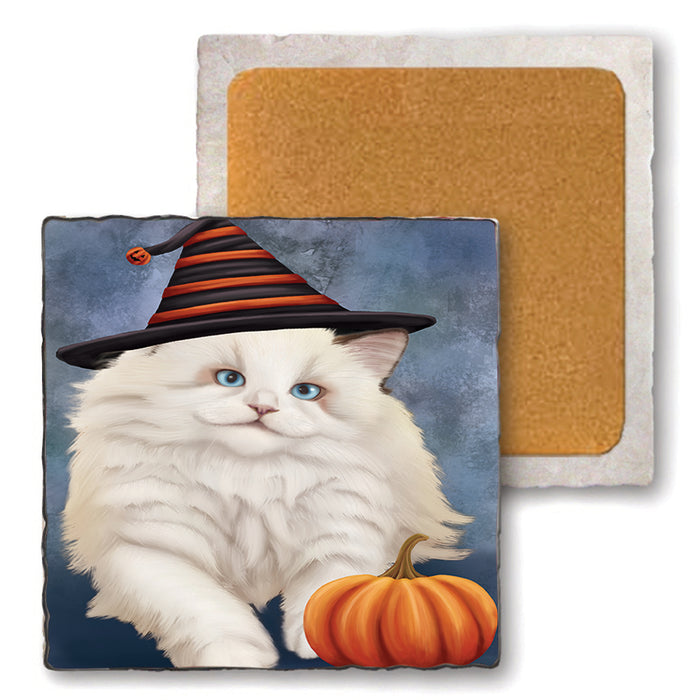 Happy Halloween Ragdoll Cat Wearing Witch Hat with Pumpkin Set of 4 Natural Stone Marble Tile Coasters MCST49797