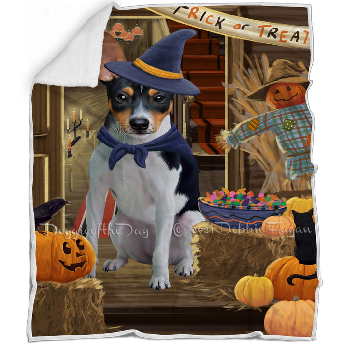 Enter at Own Risk Trick or Treat Halloween Rat Terrier Dog Blanket BLNKT96447