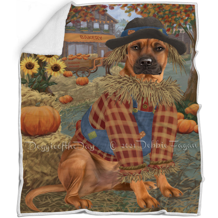 Halloween 'Round Town And Fall Pumpkin Scarecrow Both Rhodesian Ridgeback Dogs Blanket BLNKT143629