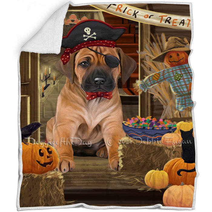 Enter at Own Risk Trick or Treat Halloween Rhodesian Ridgeback Dog Blanket BLNKT96510