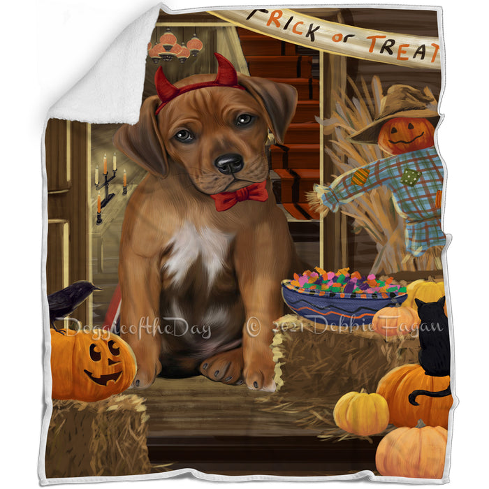 Enter at Own Risk Trick or Treat Halloween Rhodesian Ridgeback Dog Blanket BLNKT96519