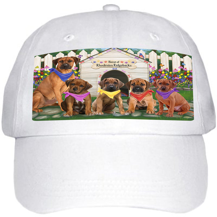 Spring Dog House Pomeranians Dog Ball Hat Cap HAT54333