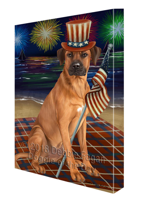 4th of July Independence Day Firework Rhodesian Ridgeback Dog Canvas Wall Art CVS56442