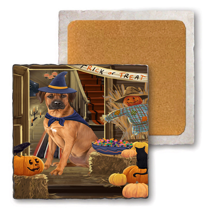 Enter at Own Risk Trick or Treat Halloween Rhodesian Ridgeback Dog Set of 4 Natural Stone Marble Tile Coasters MCST48239