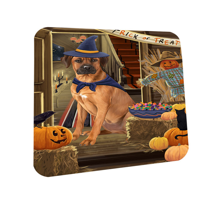 Enter at Own Risk Trick or Treat Halloween Rhodesian Ridgeback Dog Coasters Set of 4 CST53197