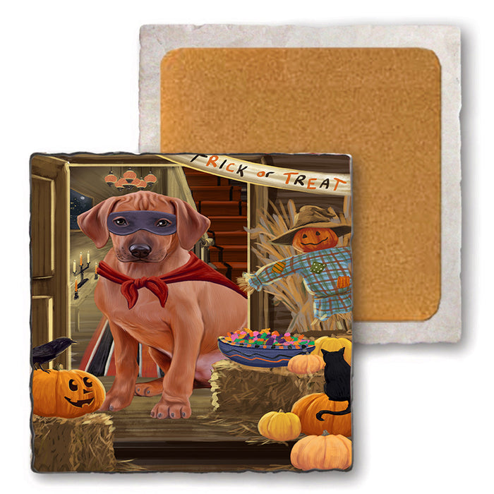 Enter at Own Risk Trick or Treat Halloween Rhodesian Ridgeback Dog Set of 4 Natural Stone Marble Tile Coasters MCST48240