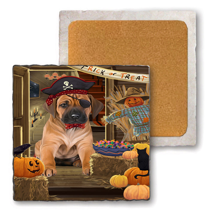 Enter at Own Risk Trick or Treat Halloween Rhodesian Ridgeback Dog Set of 4 Natural Stone Marble Tile Coasters MCST48241