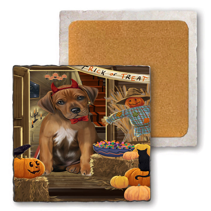 Enter at Own Risk Trick or Treat Halloween Rhodesian Ridgeback Dog Set of 4 Natural Stone Marble Tile Coasters MCST48242