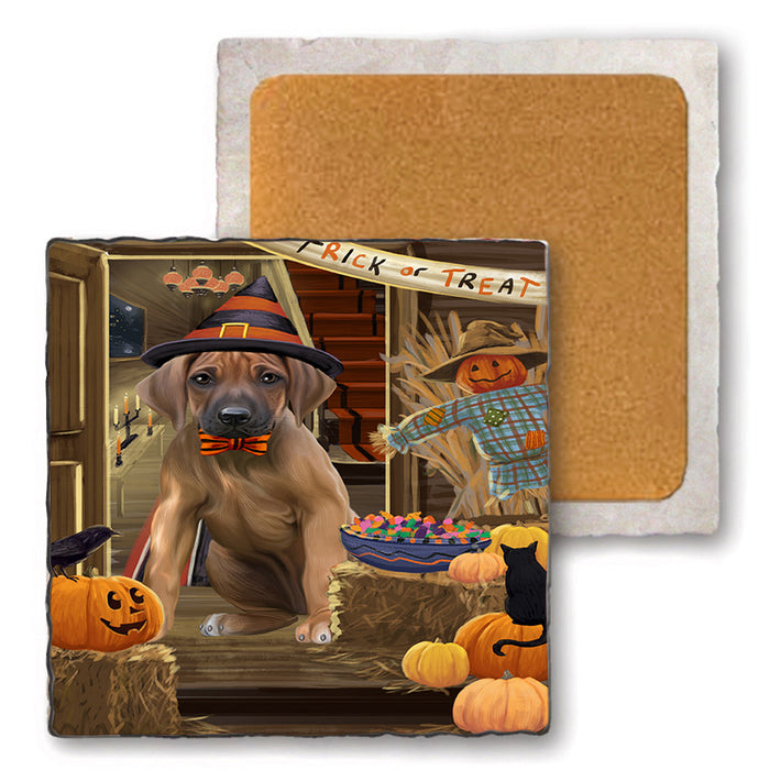 Enter at Own Risk Trick or Treat Halloween Rhodesian Ridgeback Dog Set of 4 Natural Stone Marble Tile Coasters MCST48243