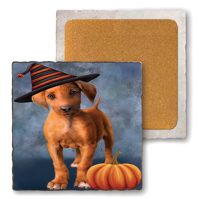 Happy Halloween Rhodesian Ridgeback Dog Wearing Witch Hat with Pumpkin Set of 4 Natural Stone Marble Tile Coasters MCST49798