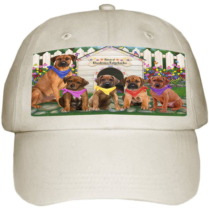 Spring Dog House Pomeranians Dog Ball Hat Cap HAT54333