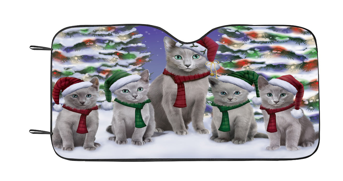 Russian Blue Cats Christmas Family Portrait in Holiday Scenic Background Car Sun Shade