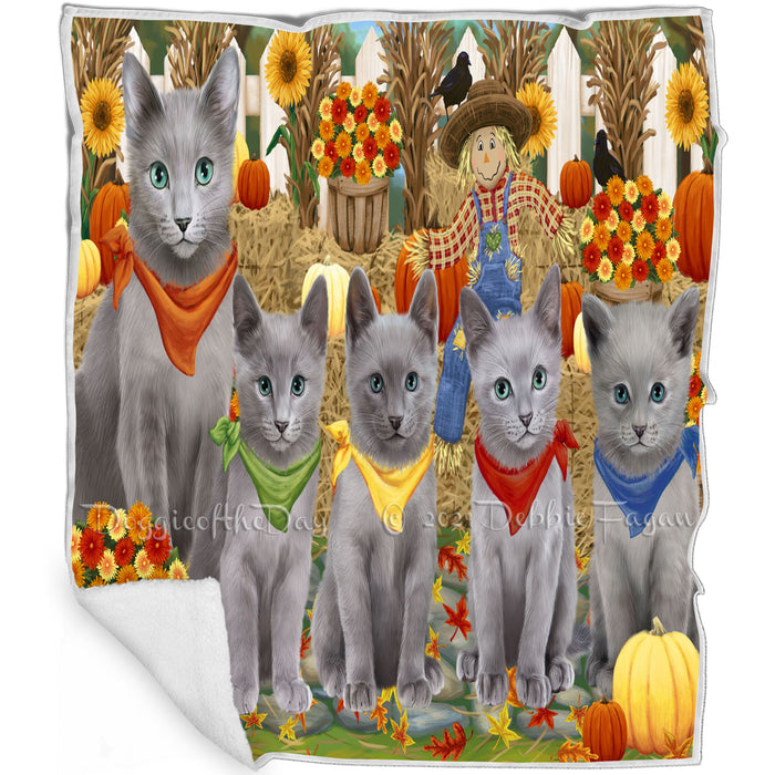 Fall Festive Gathering Russian Blue Cats with Pumpkins Blanket BLNKT142417