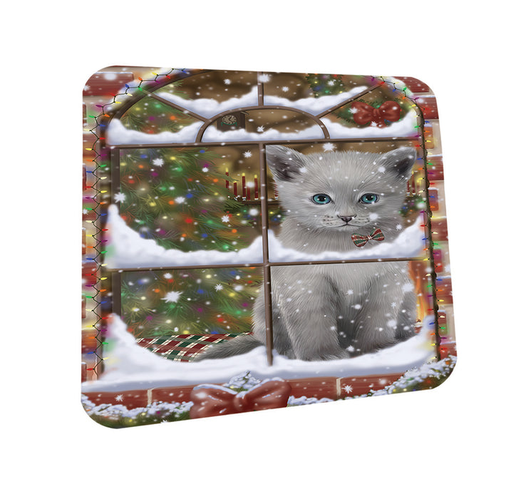 Please Come Home For Christmas Russian Blue Cat Sitting In Window Coasters Set of 4 CST53602