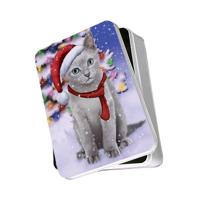 Winterland Wonderland Russian Blue Cat In Christmas Holiday Scenic Background Photo Storage Tin PITN53719