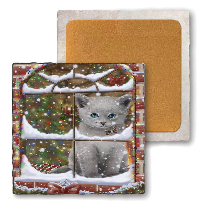 Please Come Home For Christmas Russian Blue Cat Sitting In Window Set of 4 Natural Stone Marble Tile Coasters MCST48644