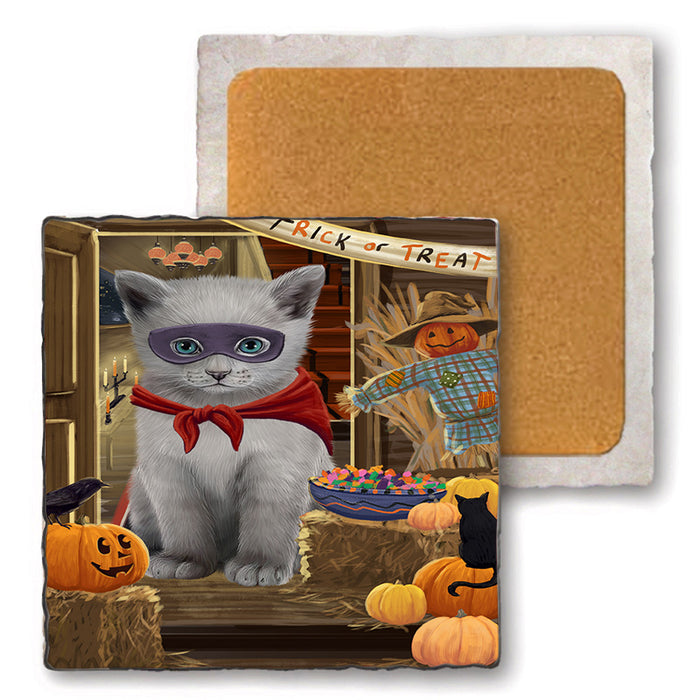 Enter at Own Risk Trick or Treat Halloween Russian Blue Cat Set of 4 Natural Stone Marble Tile Coasters MCST48250
