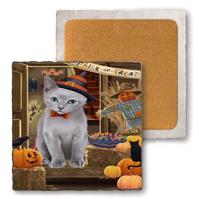 Enter at Own Risk Trick or Treat Halloween Russian Blue Cat Set of 4 Natural Stone Marble Tile Coasters MCST48253