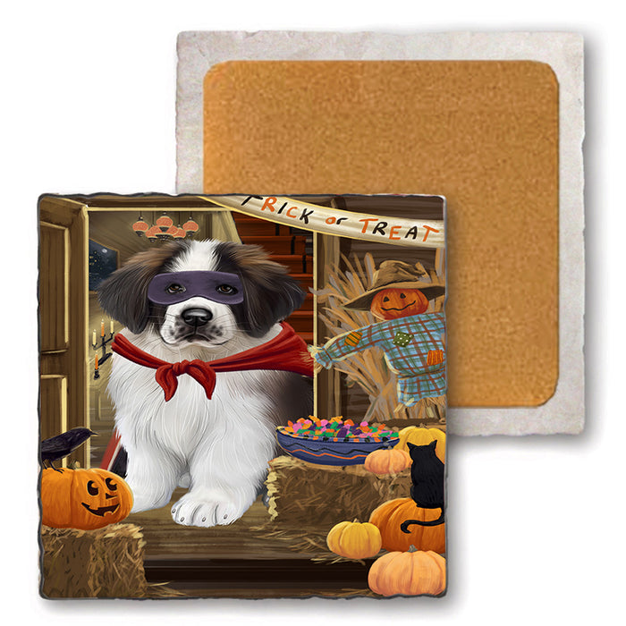 Enter at Own Risk Trick or Treat Halloween Saint Bernard Dog Set of 4 Natural Stone Marble Tile Coasters MCST48255