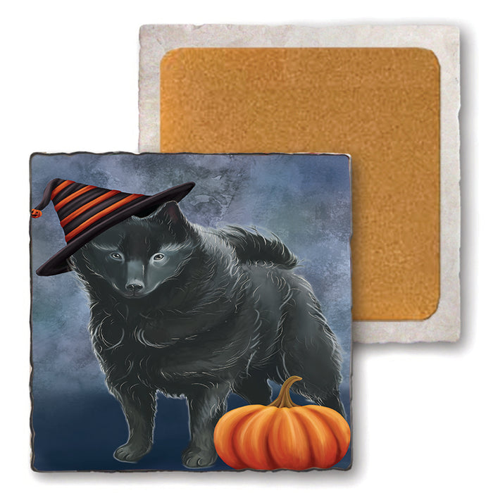 Happy Halloween Schipperke Dog Wearing Witch Hat with Pumpkin Set of 4 Natural Stone Marble Tile Coasters MCST49804