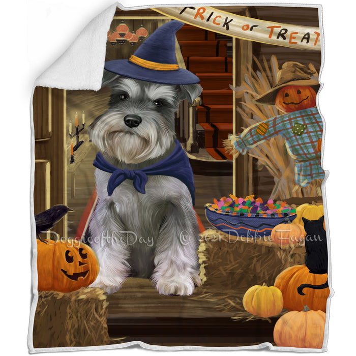 Enter at Own Risk Trick or Treat Halloween Schnauzer Dog Blanket BLNKT96717