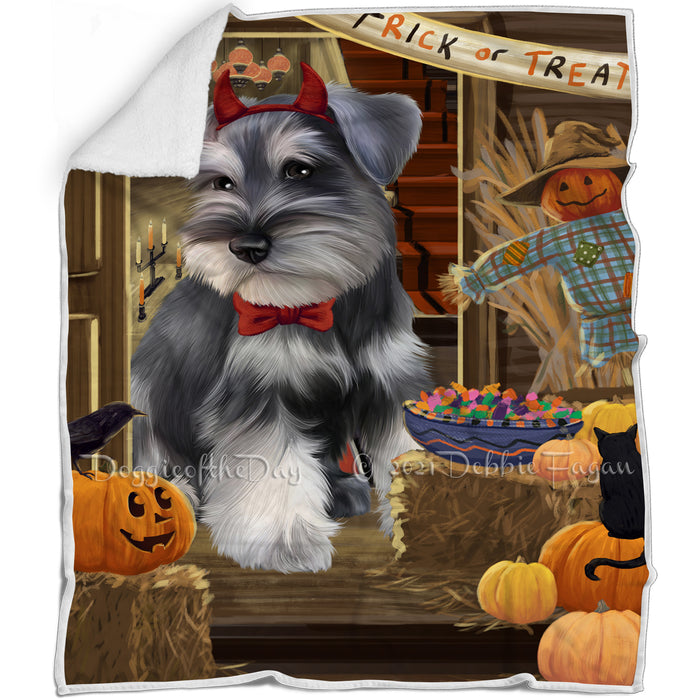 Enter at Own Risk Trick or Treat Halloween Schnauzer Dog Blanket BLNKT96744