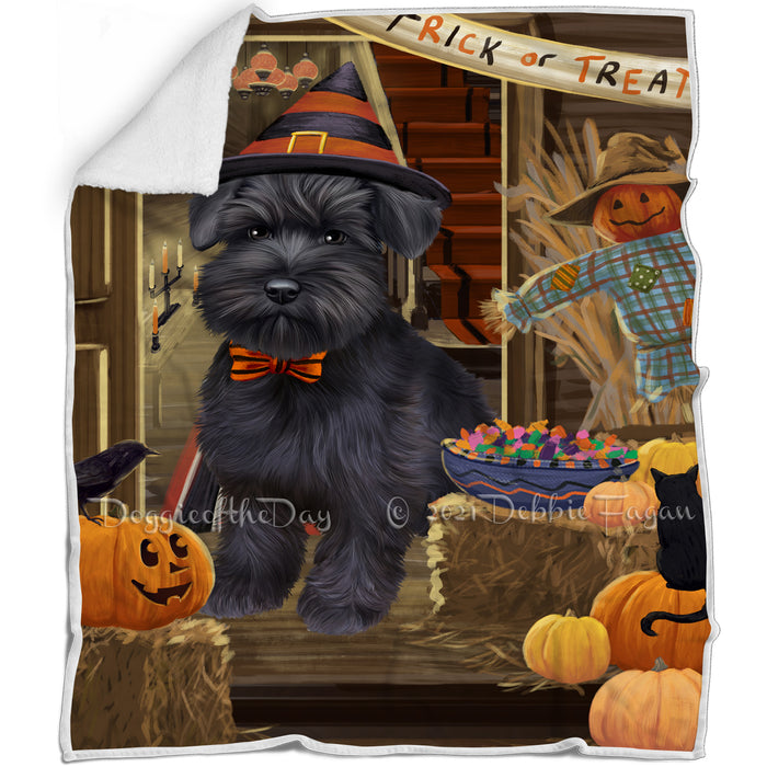 Enter at Own Risk Trick or Treat Halloween Schnauzer Dog Blanket BLNKT96753