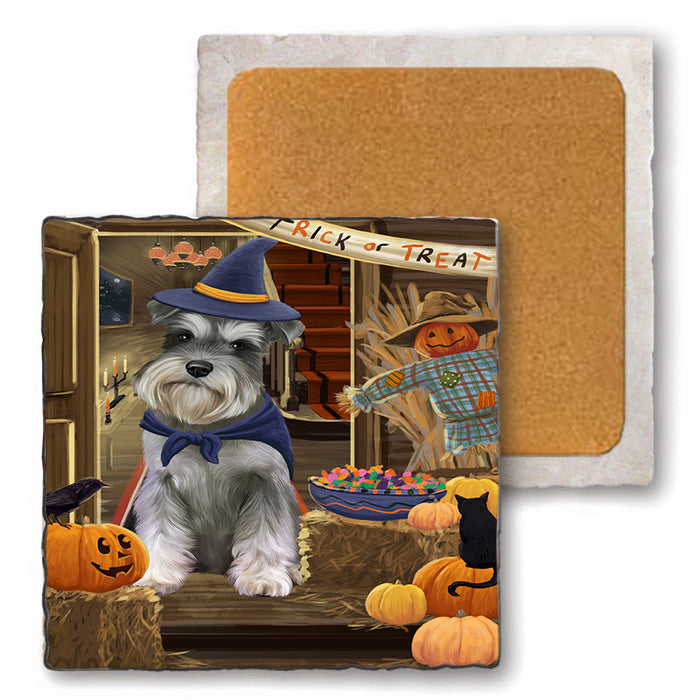 Enter at Own Risk Trick or Treat Halloween Schnauzer Dog Set of 4 Natural Stone Marble Tile Coasters MCST48264