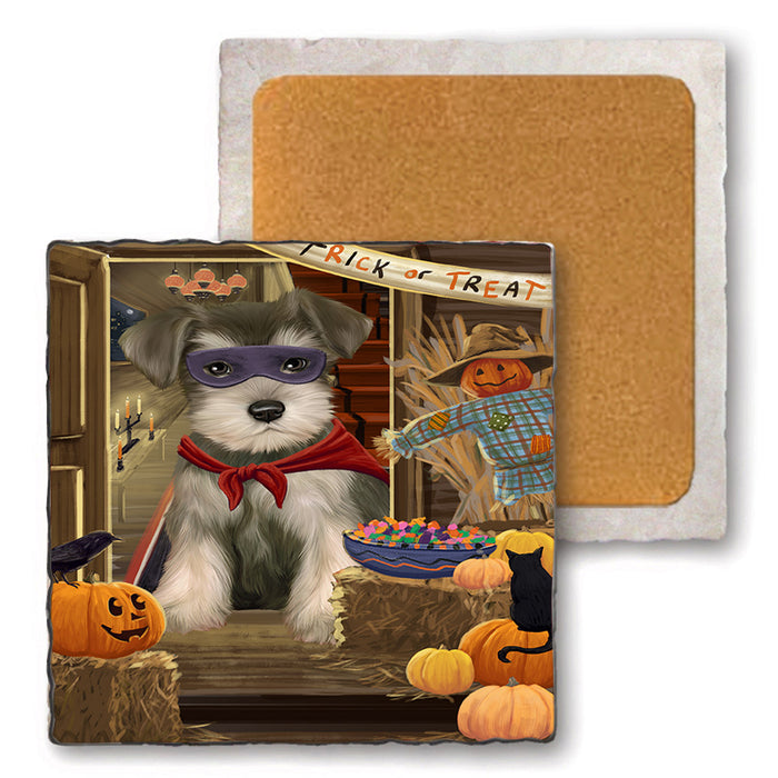 Enter at Own Risk Trick or Treat Halloween Schnauzer Dog Set of 4 Natural Stone Marble Tile Coasters MCST48265