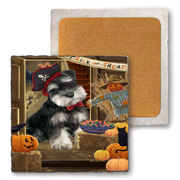 Enter at Own Risk Trick or Treat Halloween Schnauzer Dog Set of 4 Natural Stone Marble Tile Coasters MCST48266