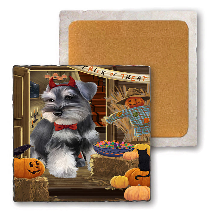 Enter at Own Risk Trick or Treat Halloween Schnauzer Dog Set of 4 Natural Stone Marble Tile Coasters MCST48267