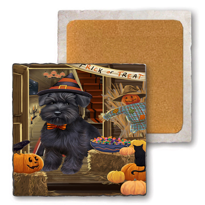 Enter at Own Risk Trick or Treat Halloween Schnauzer Dog Set of 4 Natural Stone Marble Tile Coasters MCST48268