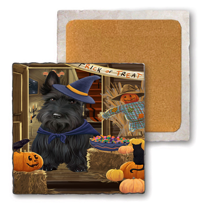 Enter at Own Risk Trick or Treat Halloween Scottish Terrier Dog Set of 4 Natural Stone Marble Tile Coasters MCST48269